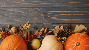 Flat Lay of pumpkin, squash, pine cone, leaves. Elements of Autumn.