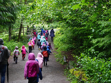 Children walking in nature.
