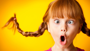 A girl with curled up pigtail braids.