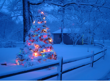 An outdoor Christmas tree with lights on it, covered in snow.