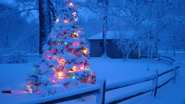 Wonderful Winter An outdoor Christmas tree with lights on it, covered in snow.
