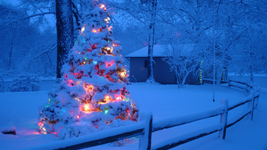 An outdoor Christmas tree with lights on it, covered in snow.