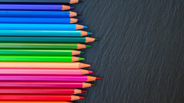 Colourful pencil crayons lined up on a chalkboard.