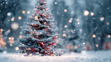 A Christmas tree with Christmas lights on a snowy day.